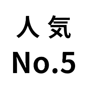 人気TOP10