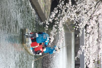 Title：水都大垣　　location：水門川