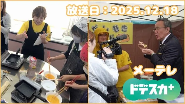 メーテレ　ドデスカプラス